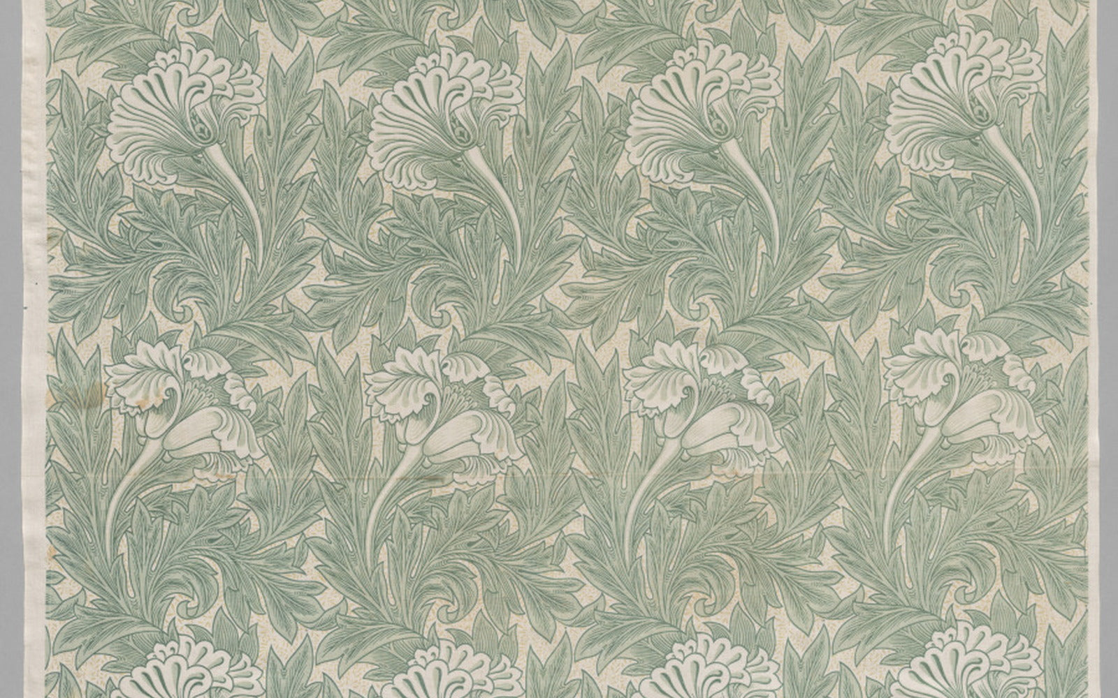 A pale William Morris tulip textile pattern