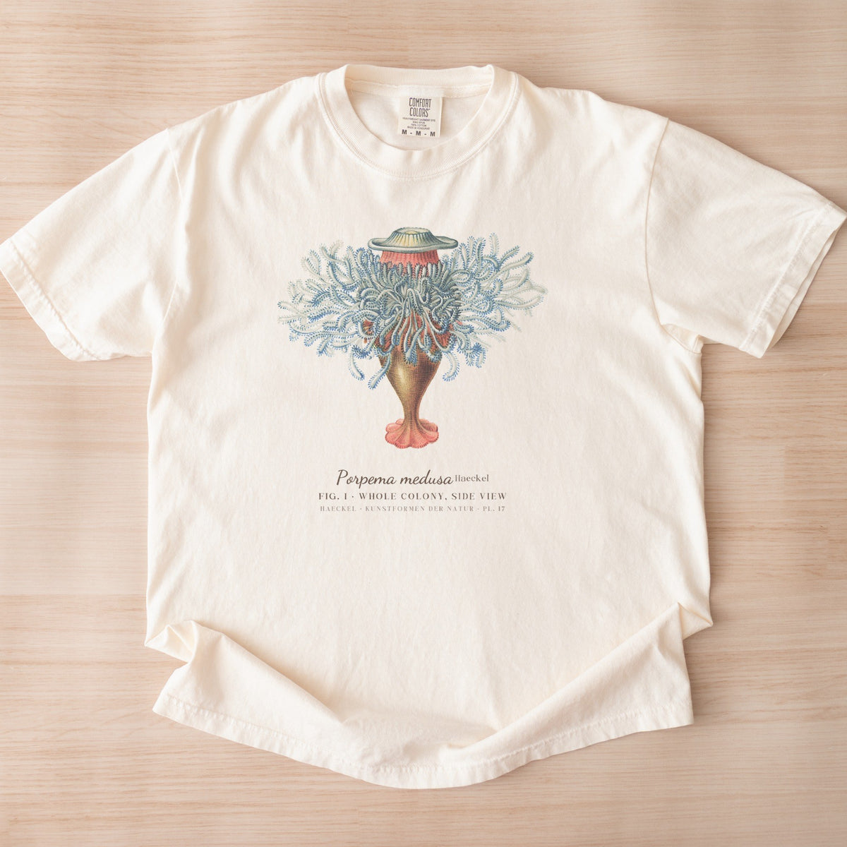 Porpema medusa Siphonophore Plate — Hydromedusen: Röhrenquallen (Siphonophoren) Vintage Natural History Tee