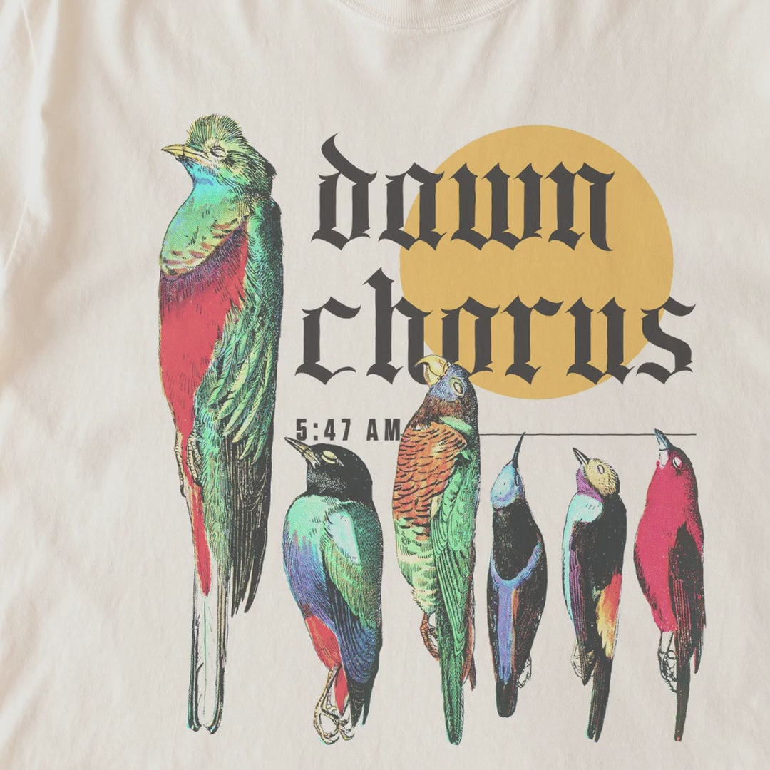 Dawn Chorus Reimagined — Vintage Bird Illustrations Choir Tee